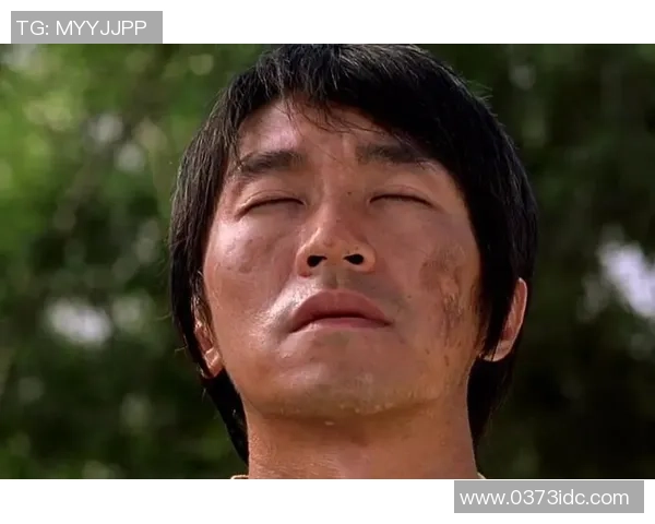 功夫足球电视剧观看指南及各大平台推荐一览